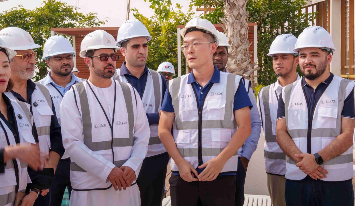 Rui Liu LEOS projects — Hadley Heights 2, Weybridge Gardens and Knightsbridge Dubai