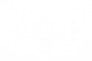 templars-court-logo-white.png